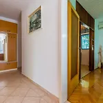 Apartman Dragiza